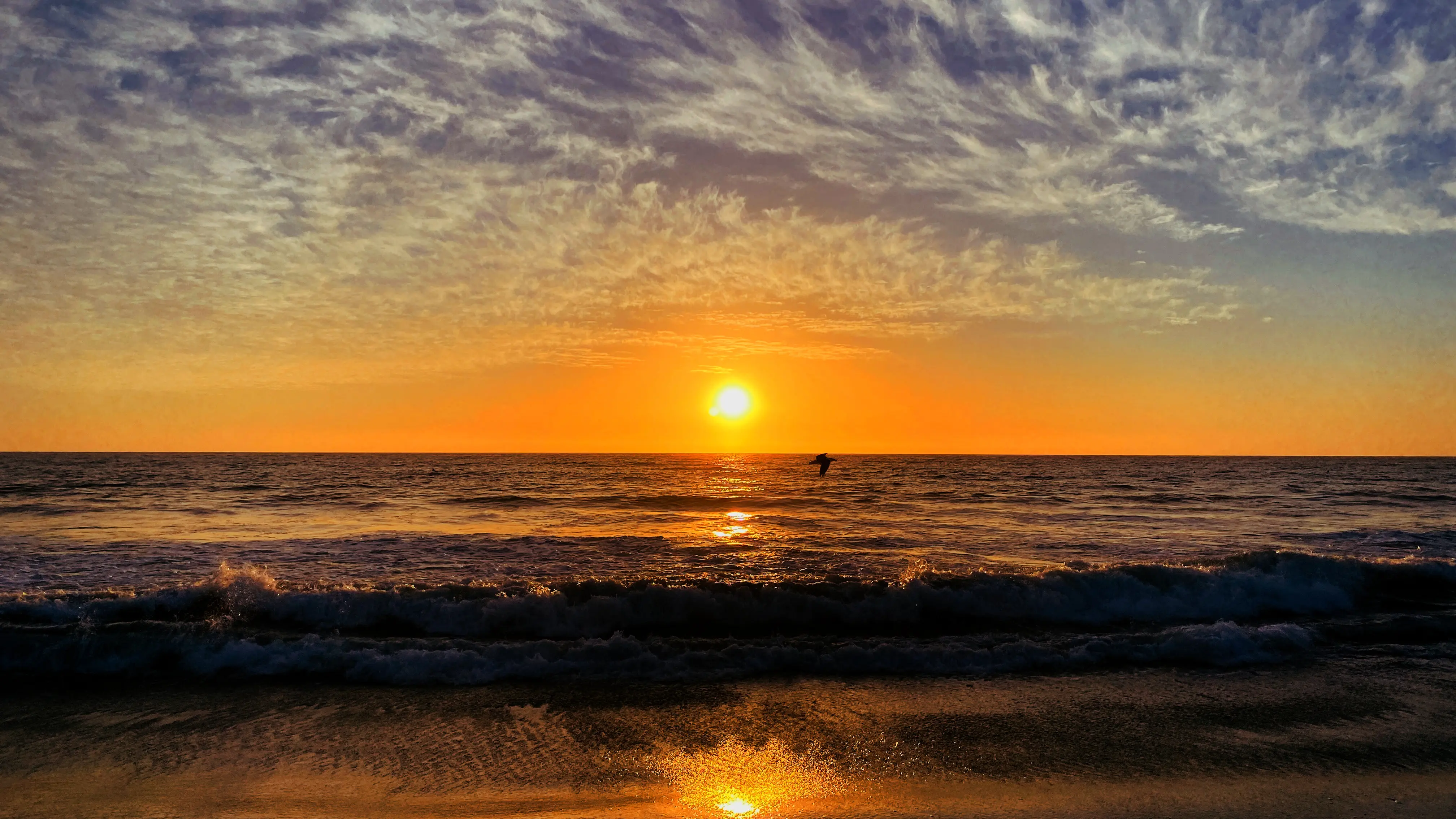 z-custom.gallery-cat-1